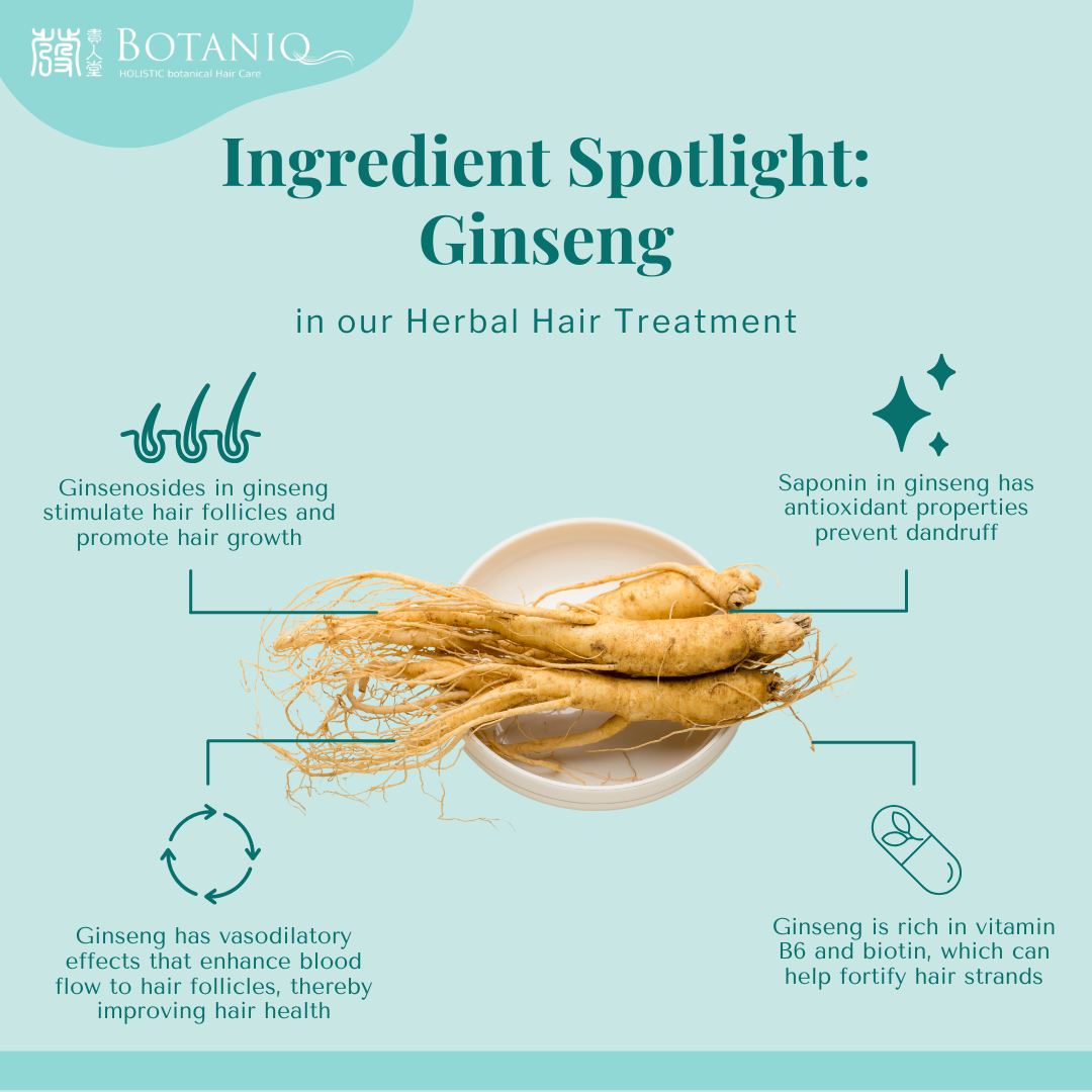 ingredient spotlight ginseng