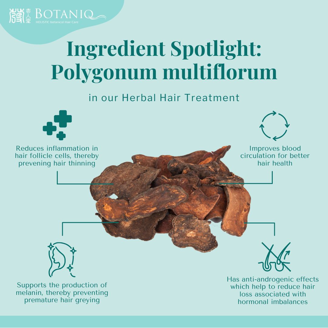 ingredient spotlight polygonum multiflorum